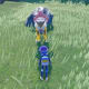 Raikou SV